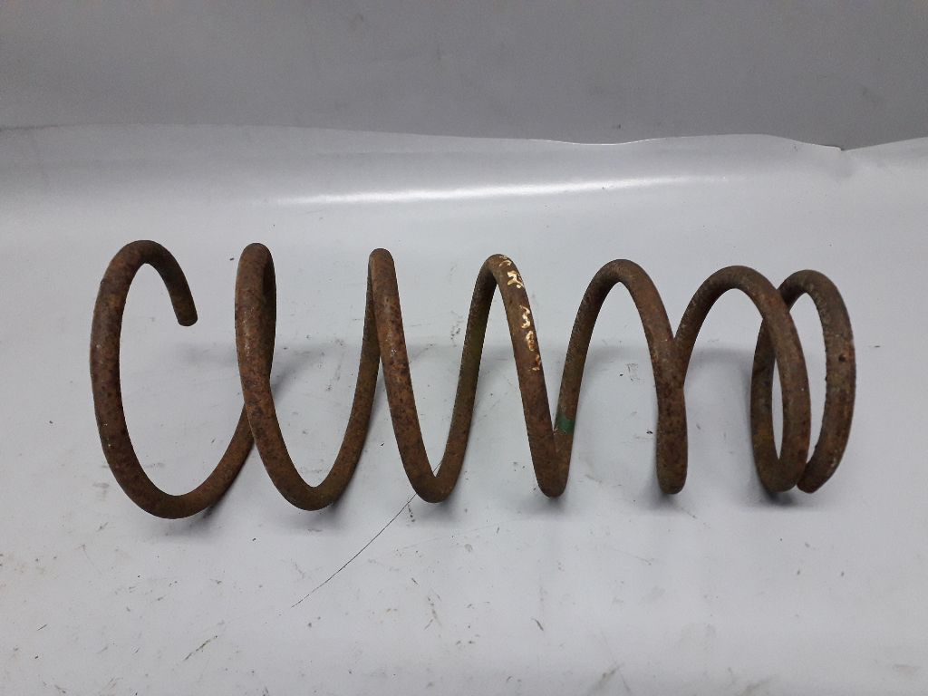 Пружина задняя